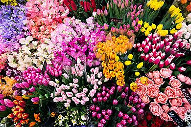 《暗黑破坏神2：重制版》2.4版PTR补丁将上线 全新天梯